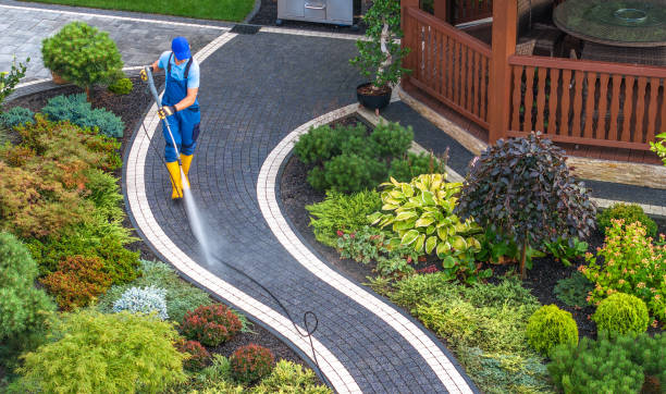 Best Pressure Washing Driveway  in Philipsburg, MT